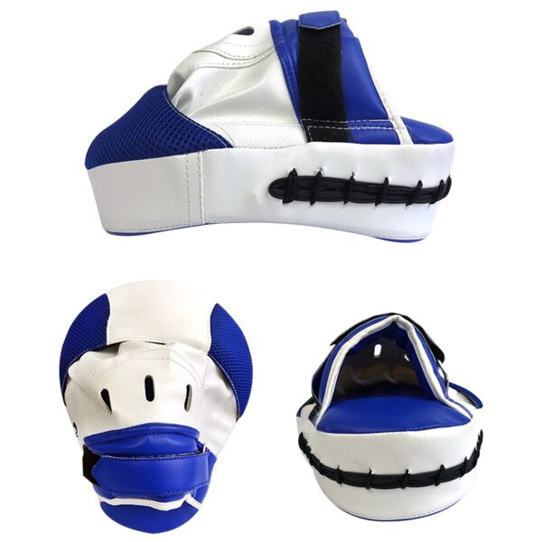 Boxing Pads (pair) Thumbnail
