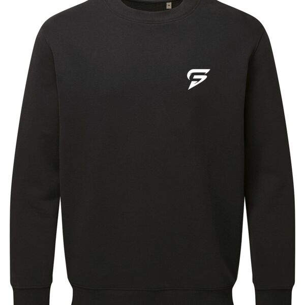 Anthem sweatshirt Thumbnail